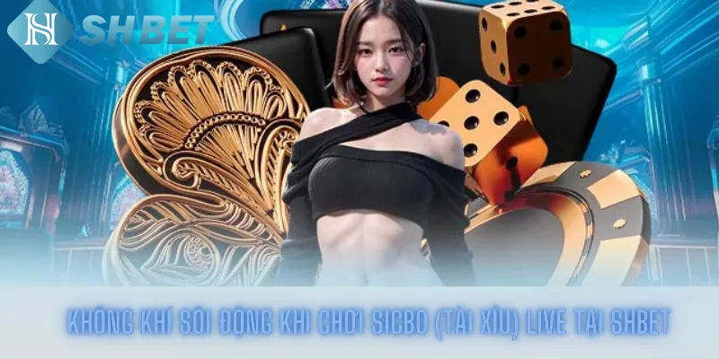 Không Khí Sôi Động Khi Chơi Sicbo (Tài Xỉu) Live Tại Shbet