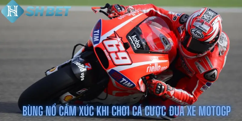 Bùng Nổ Cảm Xúc Khi Chơi Cá Cược Đua Xe Motogp Tại Shbet