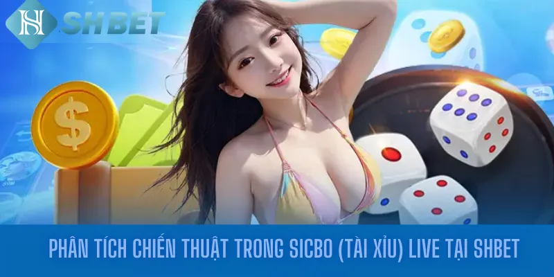 Phân tích chiến thuật trong Sicbo (Tài Xỉu) Live tại shbet