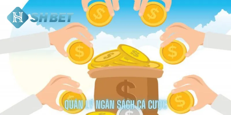 Quản lý ngân sách cá cược