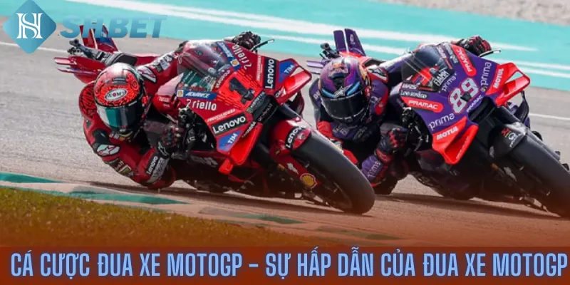 Cá cược đua xe MotoGP - Sự hấp dẫn của đua xe MotoGP