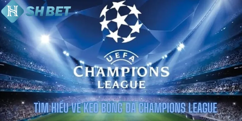 Tìm hiểu về kèo bóng đá Champions League