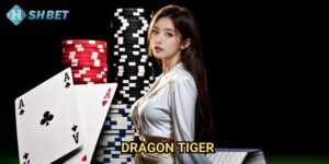 Dragon Tiger Shbet: Hướng Dẫn Chơi Game Bài Rồng Hổ Đơn Giản